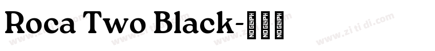 Roca Two Black字体转换